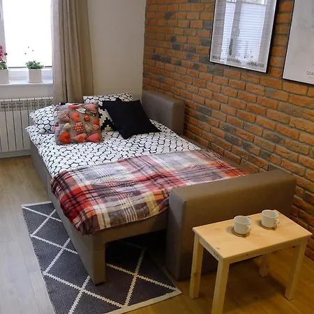 Family Comfort Apartament Old Town - Studio & Sofa, 1 Bedroom, Parking Διαμέρισμα Γκντανσκ